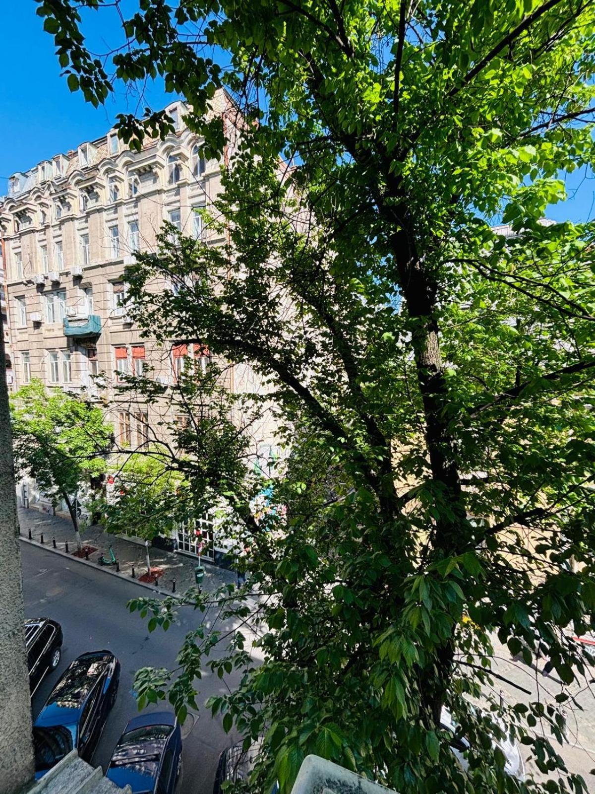 Iancu Apartments بوخارست المظهر الخارجي الصورة